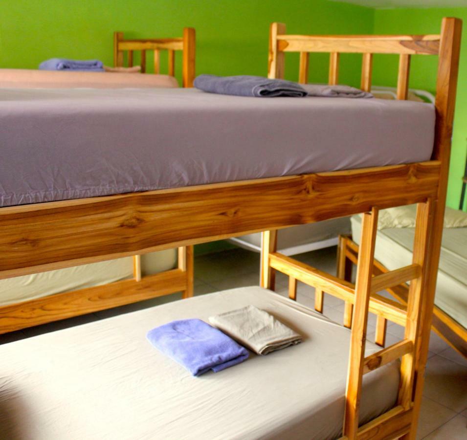 הוסטל פנמה סיטי Casa Areka מראה חיצוני תמונה