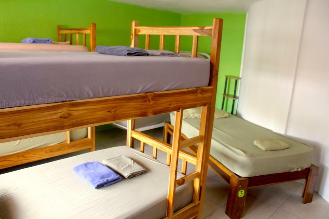 הוסטל פנמה סיטי Casa Areka מראה חיצוני תמונה