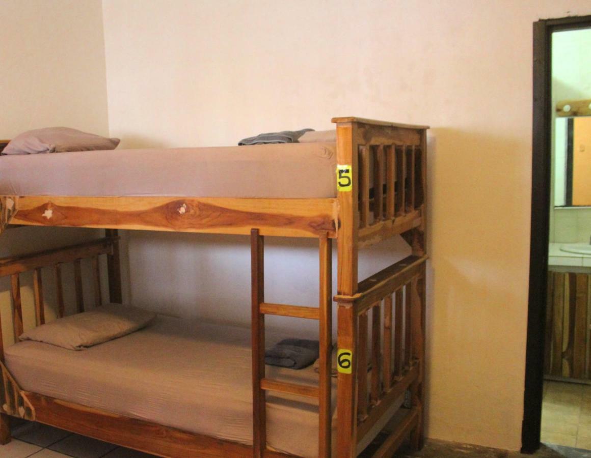 הוסטל פנמה סיטי Casa Areka מראה חיצוני תמונה