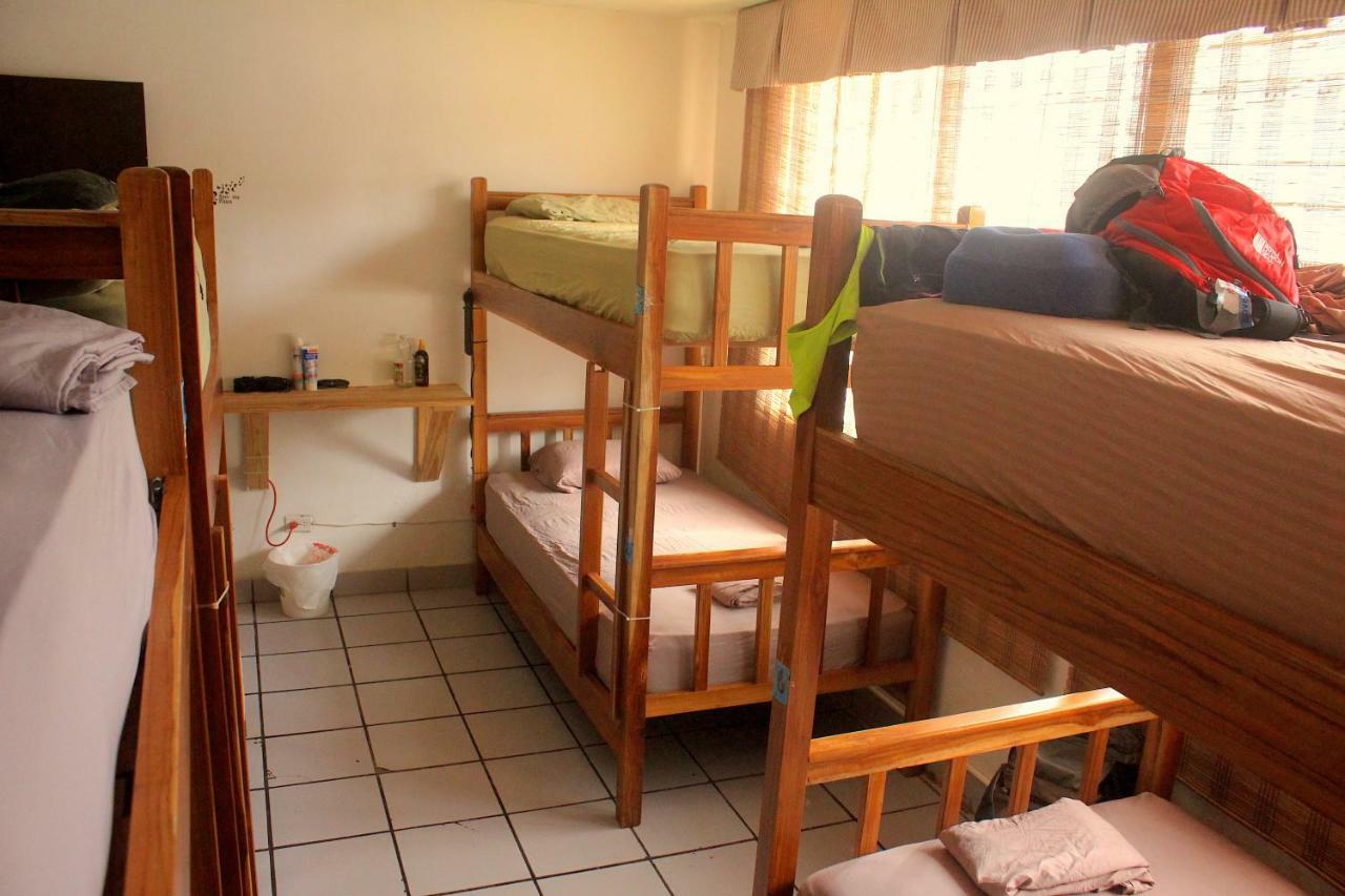 הוסטל פנמה סיטי Casa Areka מראה חיצוני תמונה
